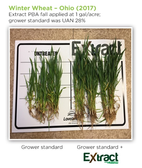 Extract PBA Pushes Winter Wheat Ahead
