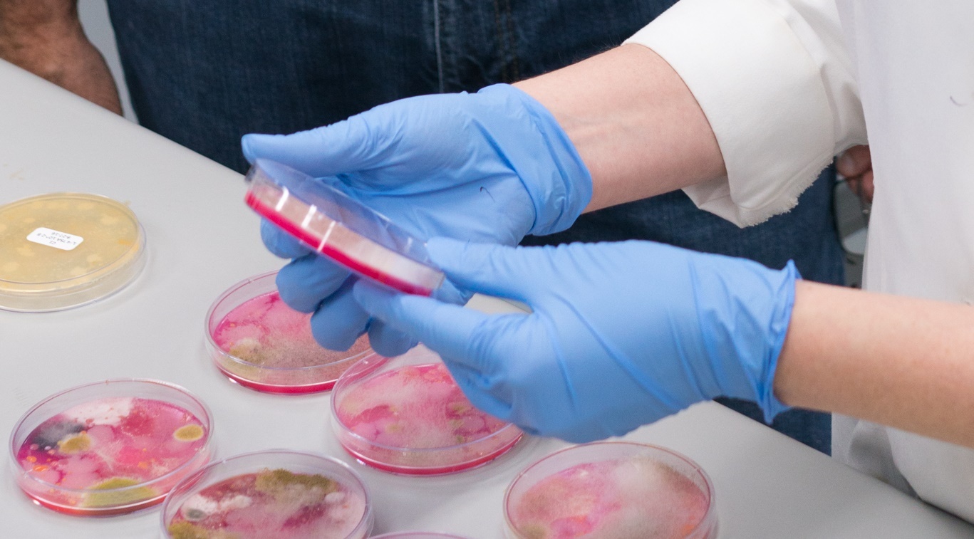 Biostimulants & Biofertilizers Are Finding Their Place in the Field