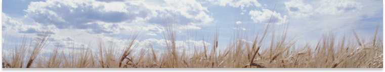 Agricen_Terms_of_Use