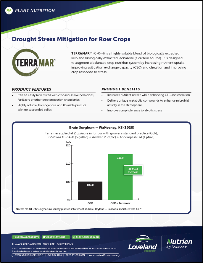 Grain Sorghum (Milo) Study