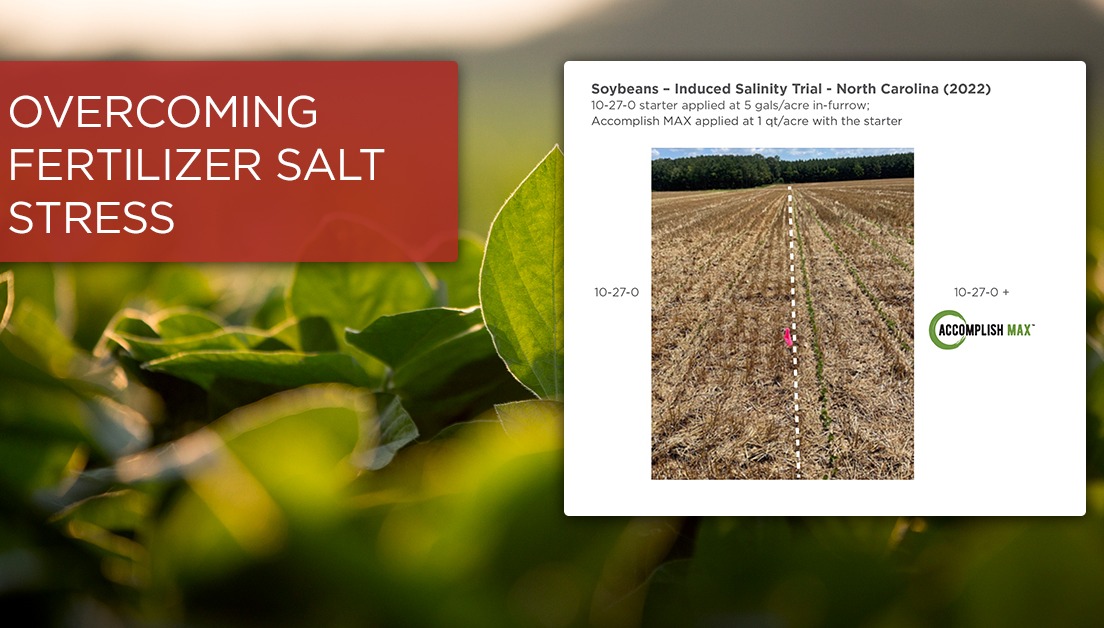 MAX-salt-stress-1200px-01