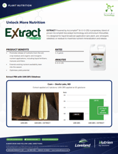 Sidedress Corn Study