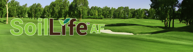 SoilLife_header_4 (1).png