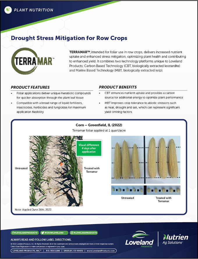 Terramar Corn Sheet Image