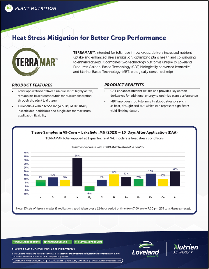 Terramar Corn Study-2
