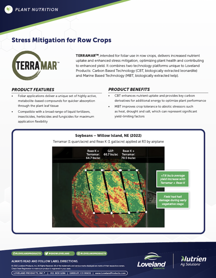 Terramar Soybean Study-4