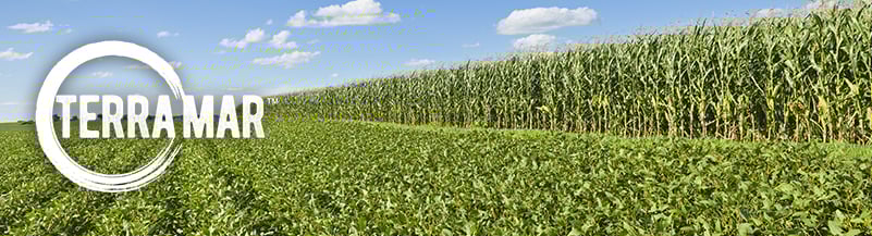 Terramar-header