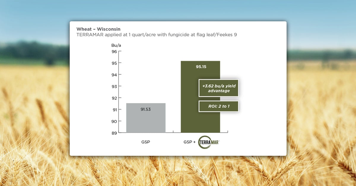Enhancing Wheat Performance on Your Farm with TERRAMAR