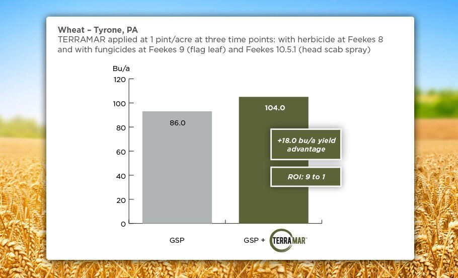 05-24-Terramar-Wheat-3 Apps-PA