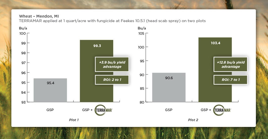 05-24-Terramar-Wheat-head scab 2 plots