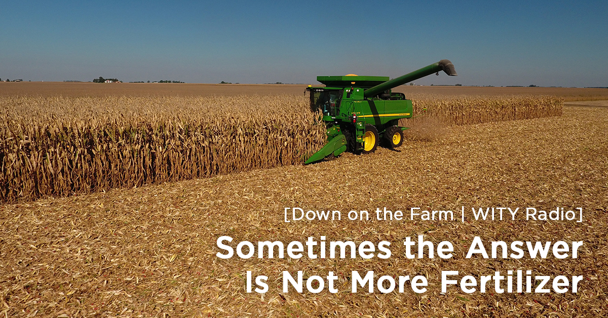 [WITY Radio] Sometimes the Answer Is Not More Fertilizer