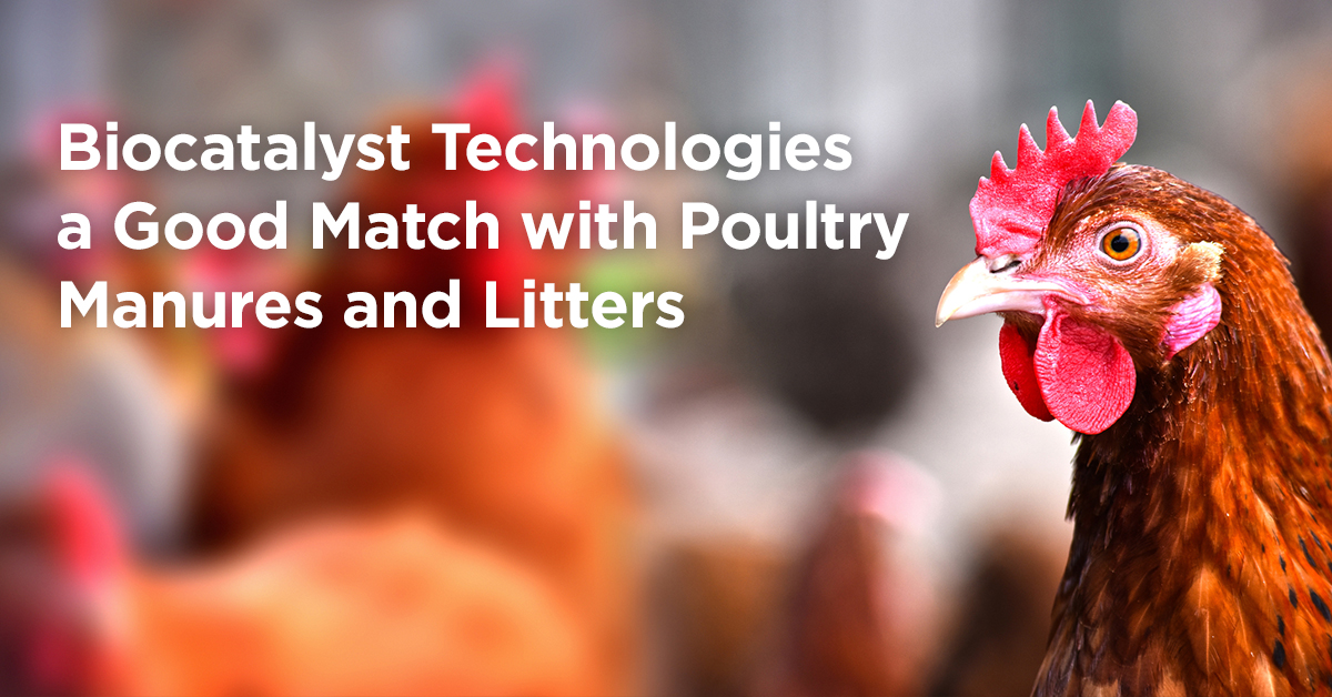 Biocatalyst Technologies a Good Match with Poultry Manures and Litters