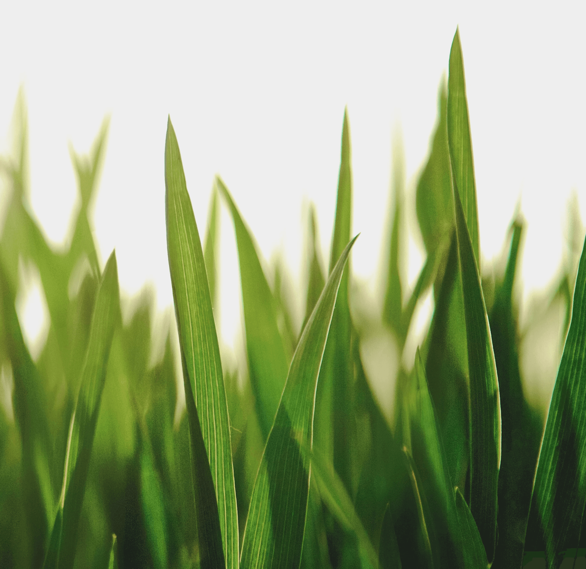 chang-qing-219688-unsplash (1) 1