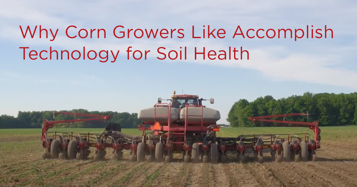 Why Corn Growers Like ACCOMPLISH Technology for Soil Health