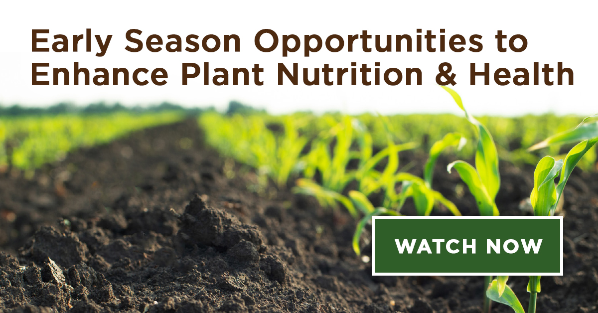 [Watch] Early Season Opportunities to Enhance Plant Nutrition & Health