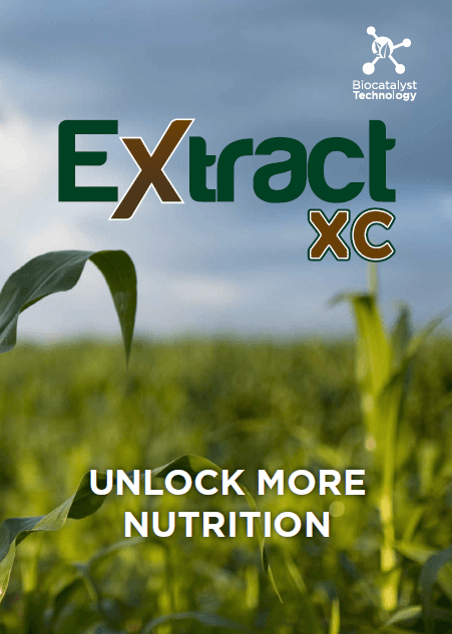 EXTRACT XC Booklet