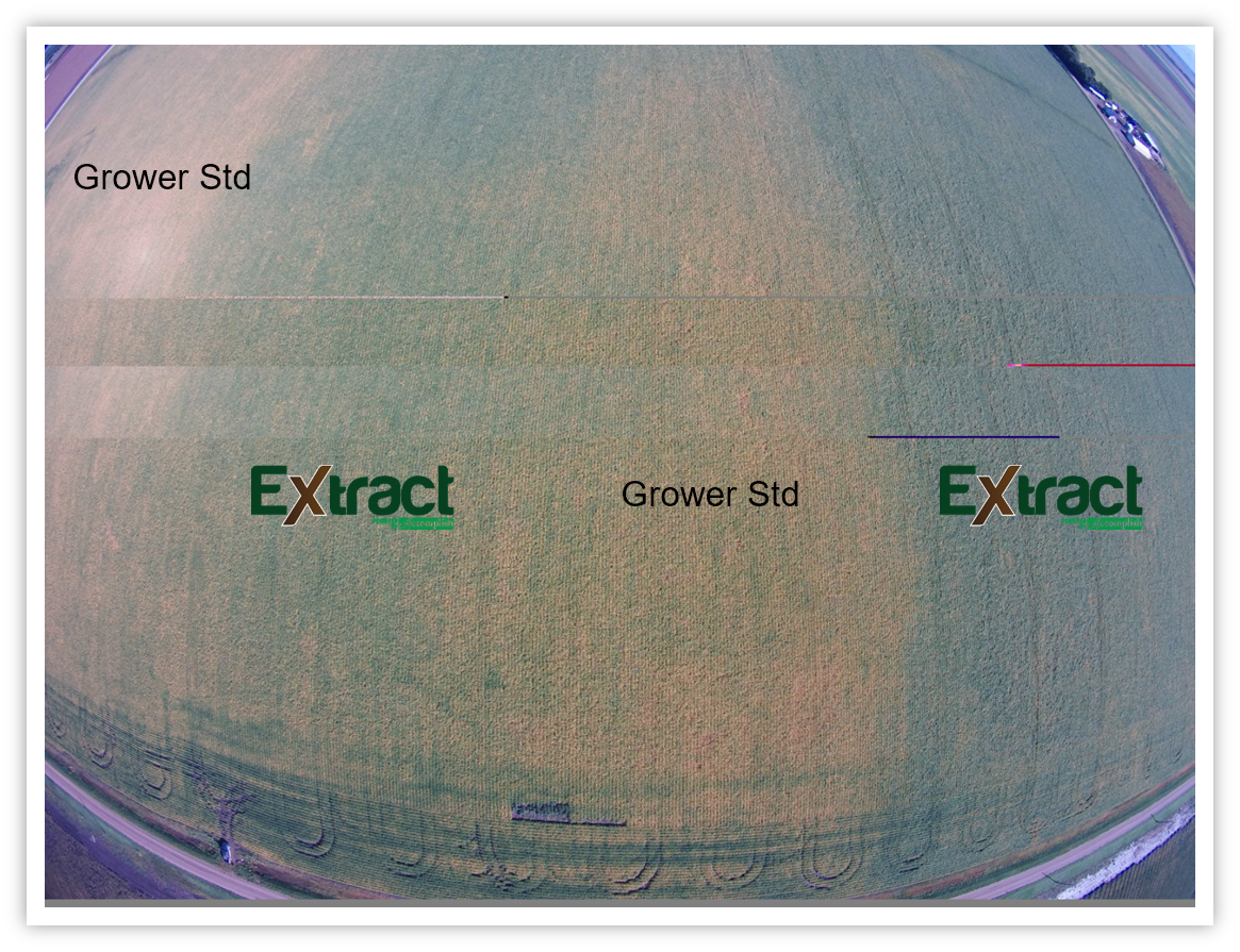 Extract soybeans aerial.png