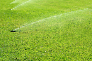 Looking at Accomplish LM & Titan PBA for Turf & Ornamental Nutrition