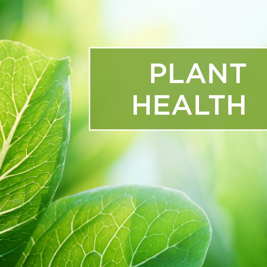 IG_plant-health