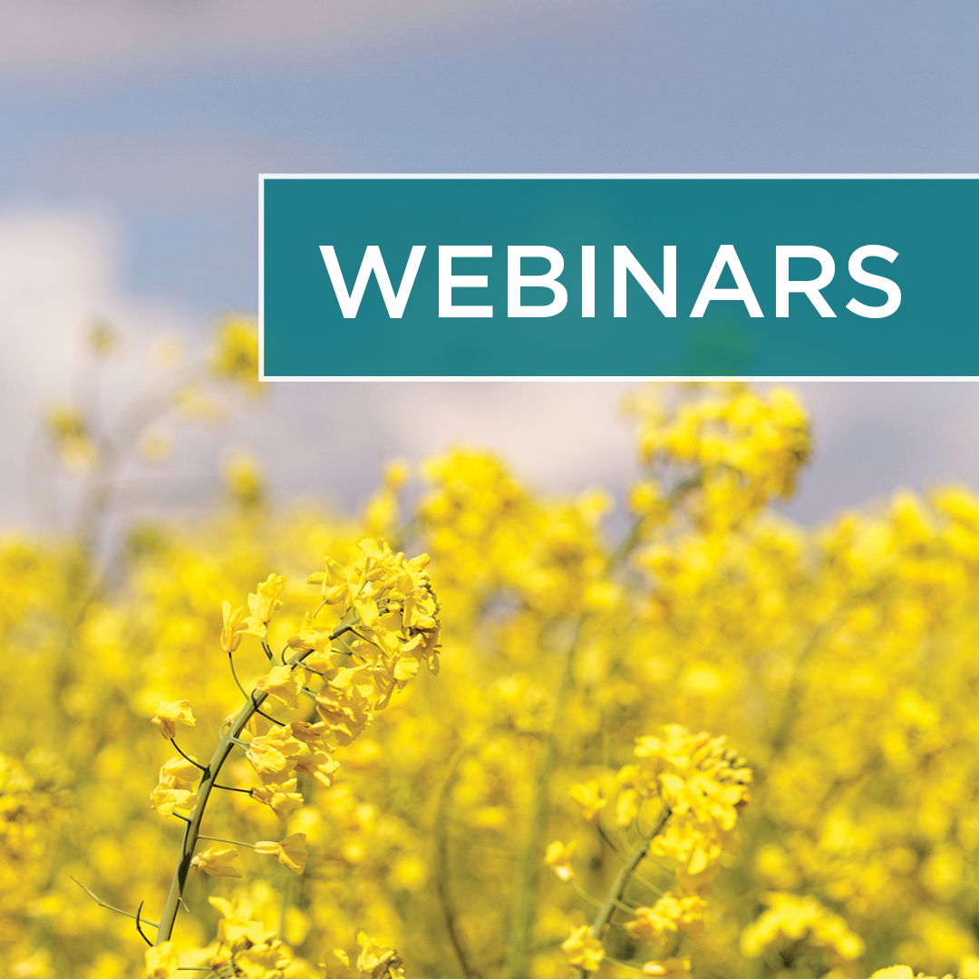 IG_webinars