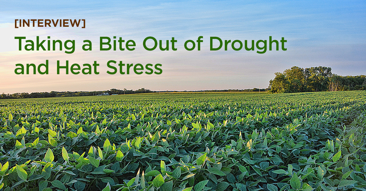 [Interview] Taking a Bite Out of Drought & Heat Stress in Agriculture