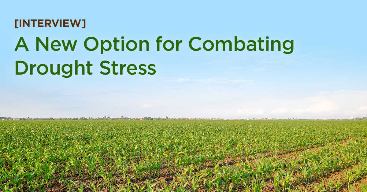 A New Option for Combating Drought Stress