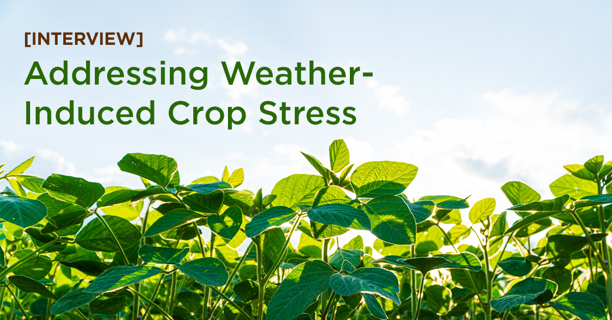 [Interview] Addressing Weather-Induced Crop Stress