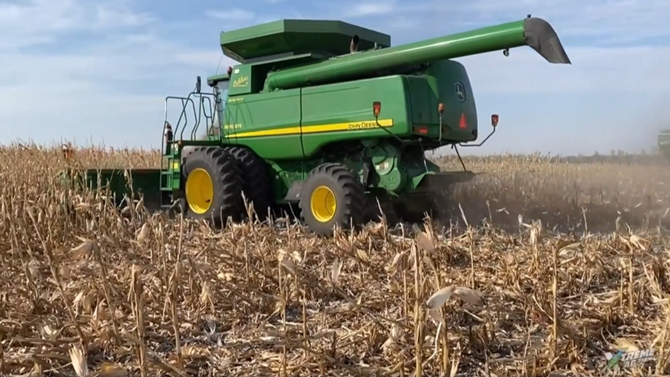 TERRAMAR Helps Grower Hold on to Corn Yield in Tough Conditions