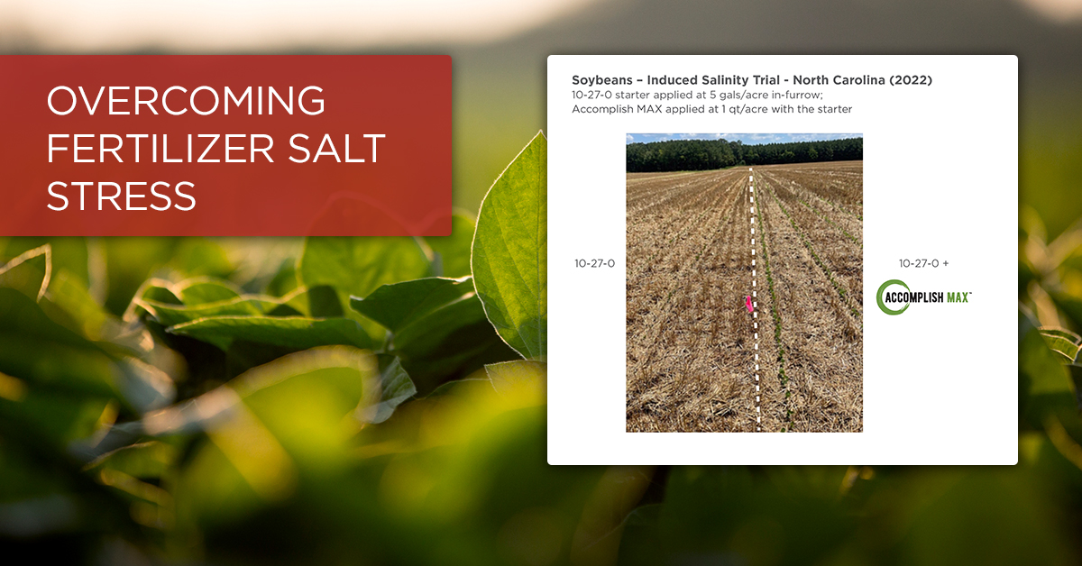 ACCOMPLISH MAX Helps Soybeans Overcome Fertilizer Salt Stress