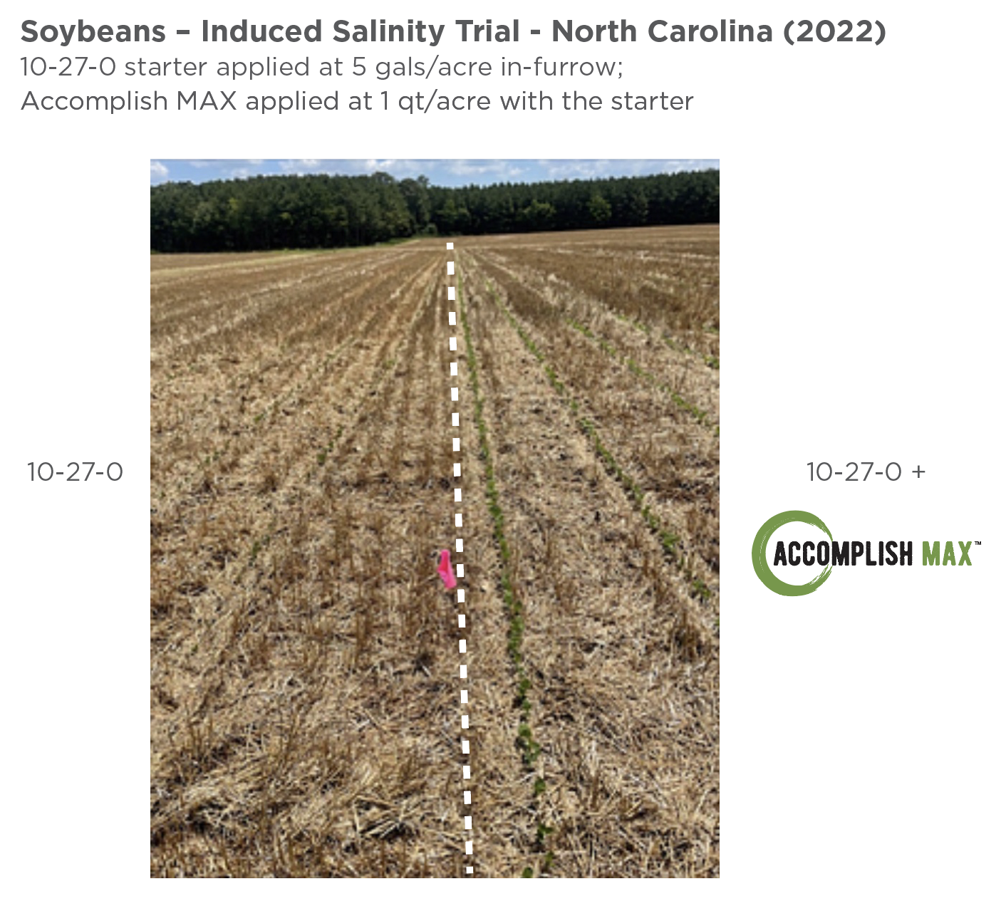 MAX-soybeans-NC-2022