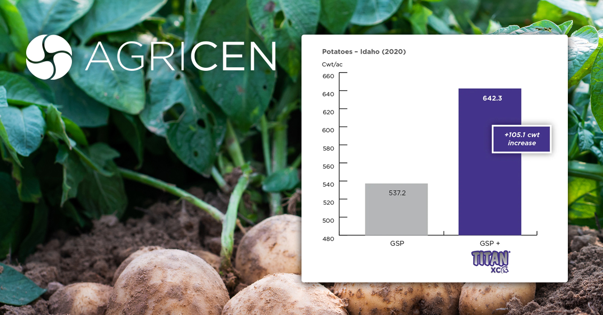TITAN XC Improves Potato Yields in Idaho Trials