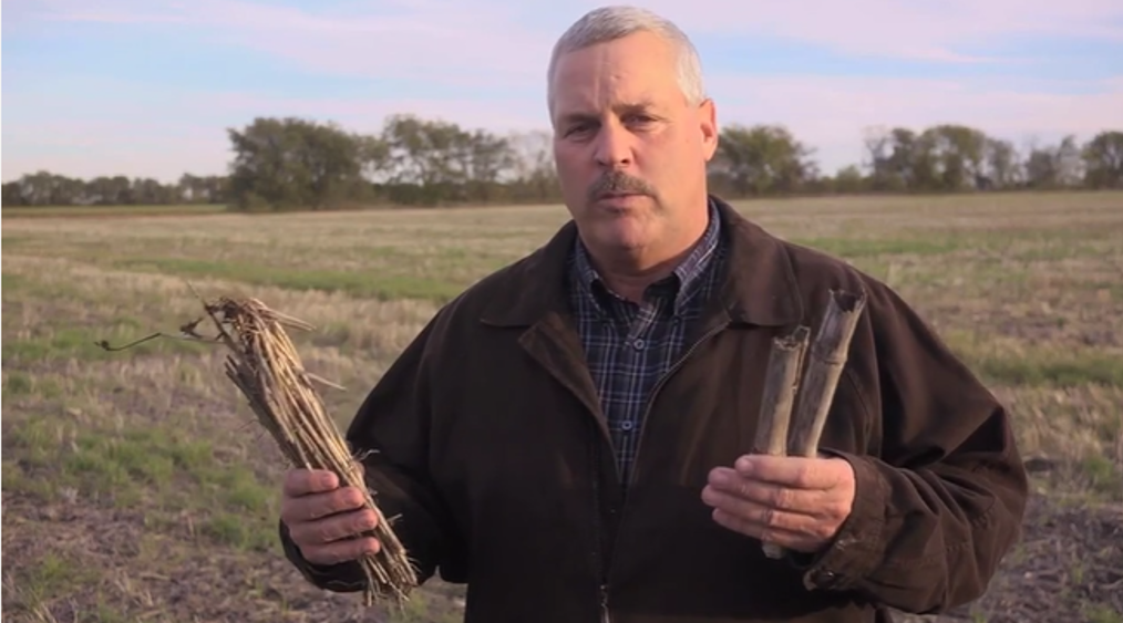 How Do EXTRACT PBA & TITAN XC Enhance Fall Crop Nutrition Programs?