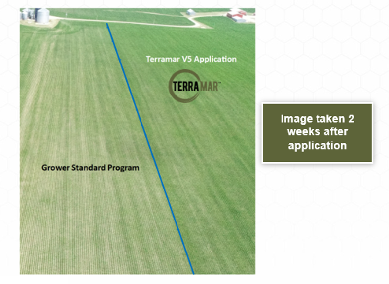 Terramar 2 Muscoda WI Corn 2023 -1