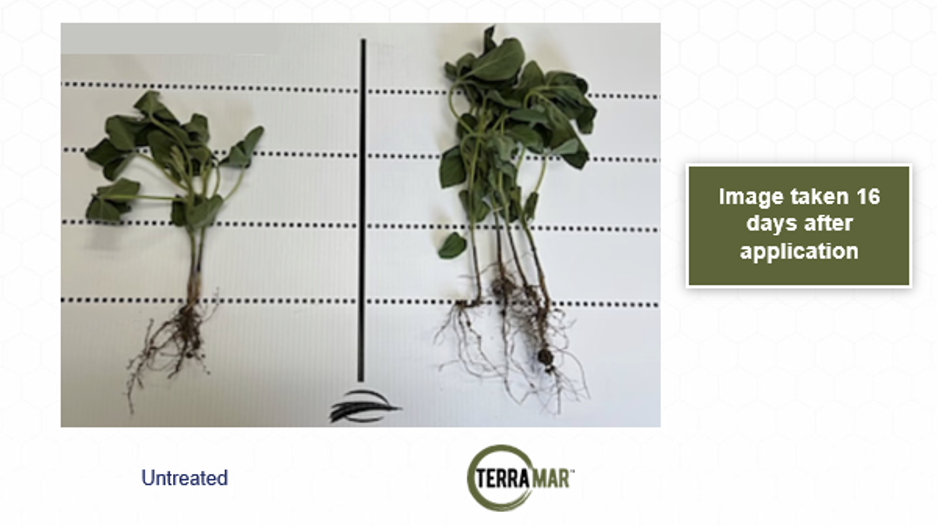 Terramar: Top 10 Field Performance Photos of 2023