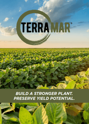 Terramar Educator-300px