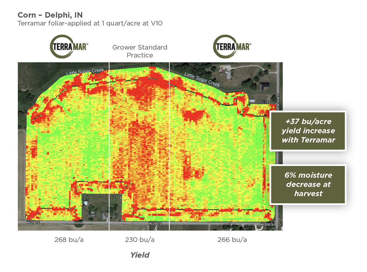 Using TERRAMAR on Reproductive-Stage Corn & Soybeans to Reduce Stress