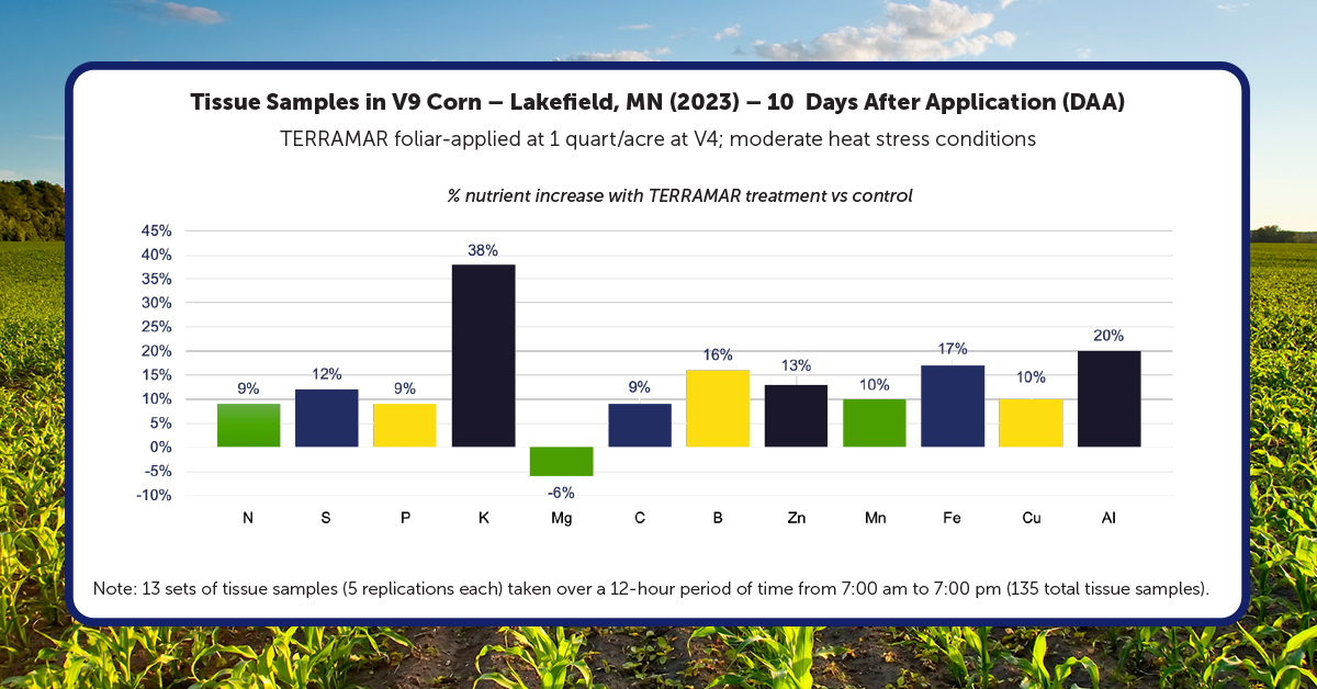 [Corn Trial] Lower Canopy Temperatures & Greater Nutrient Uptake with TERRAMAR