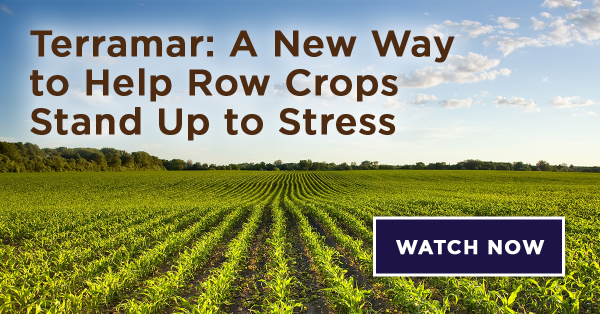 [On-Demand] Terramar: A New Way to Help Row Crops Stand Up to Stress