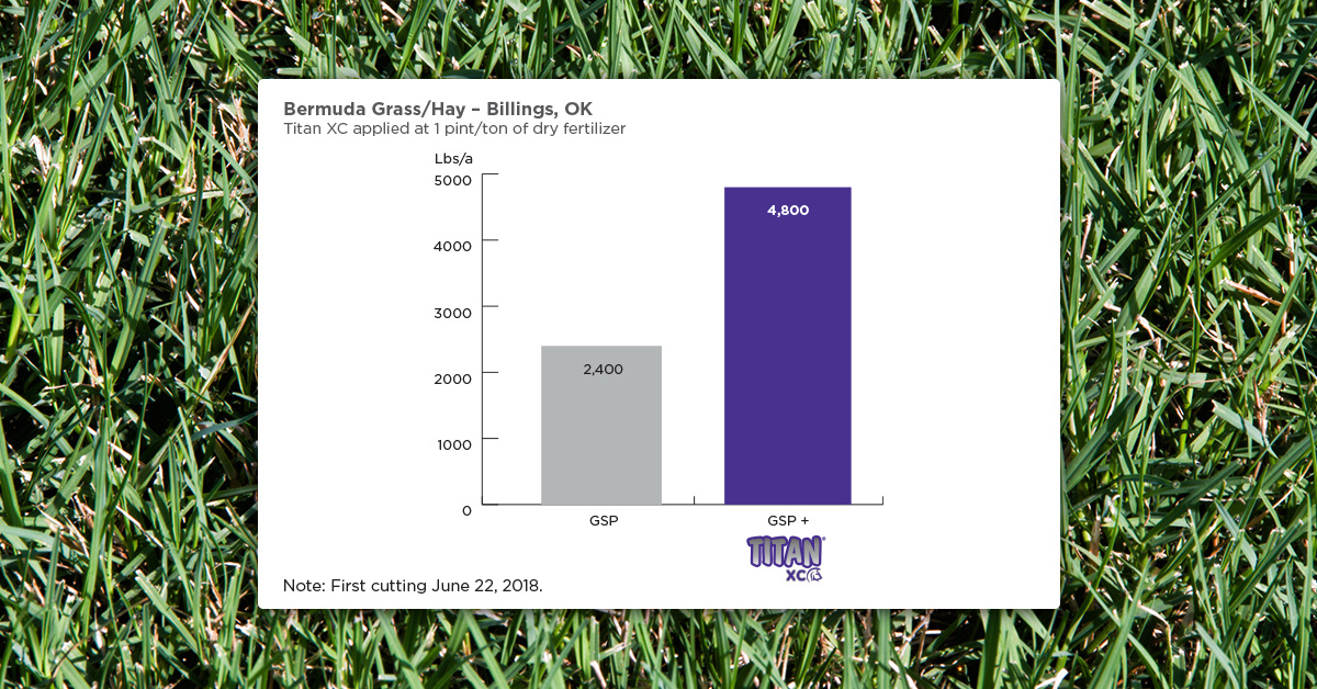 Titan XC Doubles Hay Yield in Bermuda Grass Trial