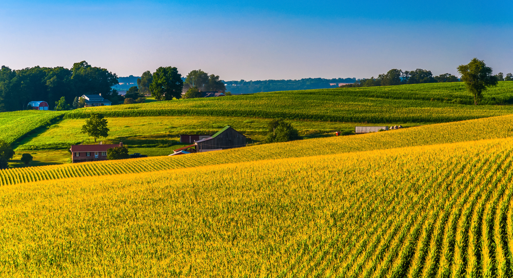 Agricen Presents Corn Microbiome Research at ASA-CSSA-SSSA Joint Meeting