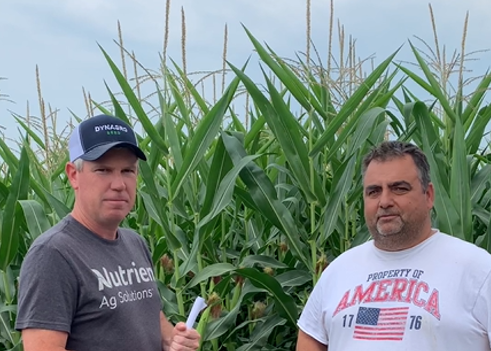 Making Better Use of Dry Fertilizer Nutrients