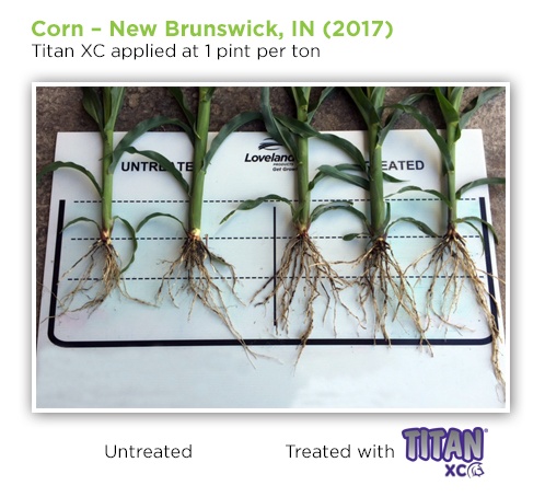 [Corn Trial] Bigger Roots & Healthier Stalks with Titan XC