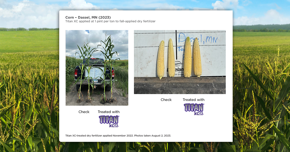 Enhancing Fall Dry Fertilizer Efficiency and Grower ROI with TITAN XC