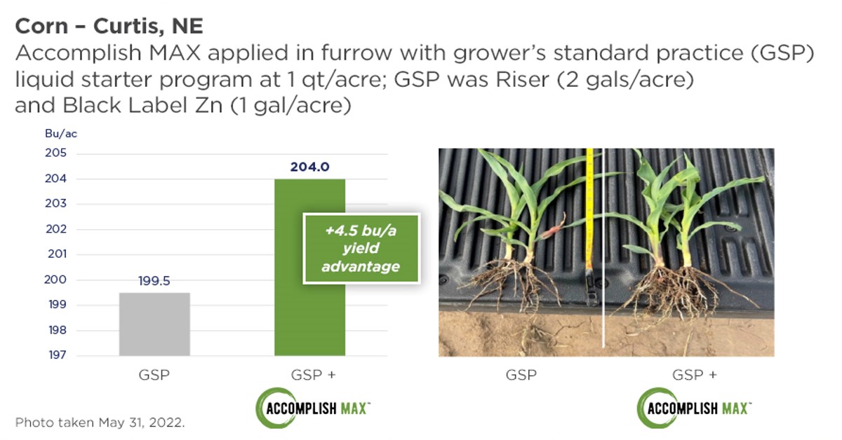 corn_Curtis_Nebraska_Accomplish_Max
