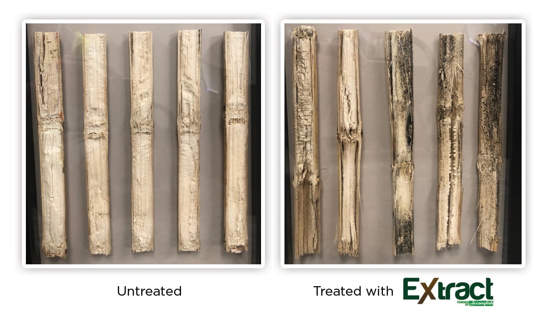Breaking Down Corn Stalk Residue with EXTRACT PBA