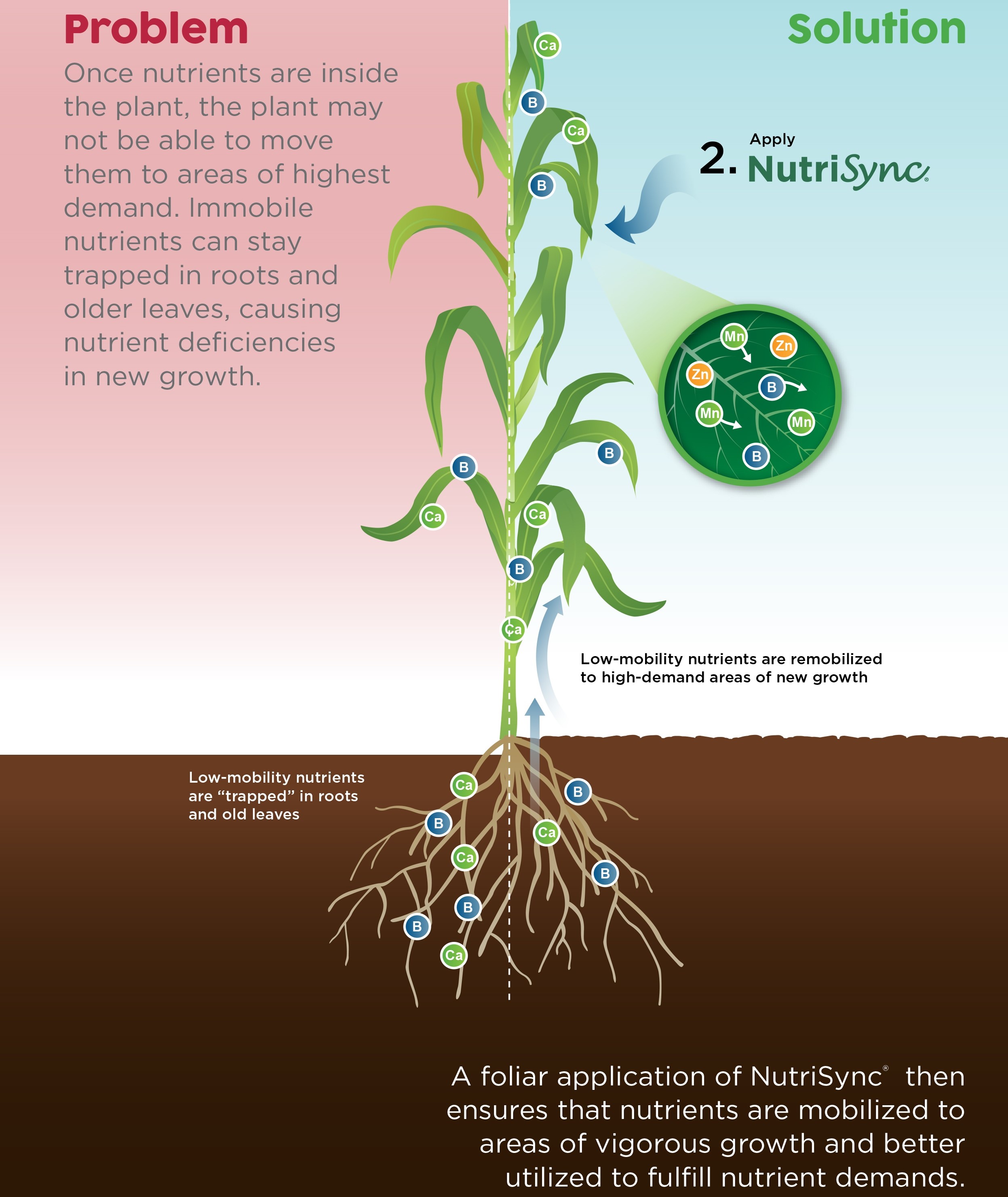 foliar-technologies-nutrisync