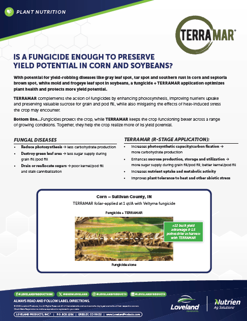 TERRAMAR + Foliar Fungicides Bulletin