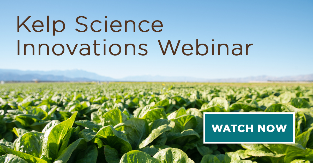 How to Overcome Crop Stress & Improve Crop Quality with Kelp Science