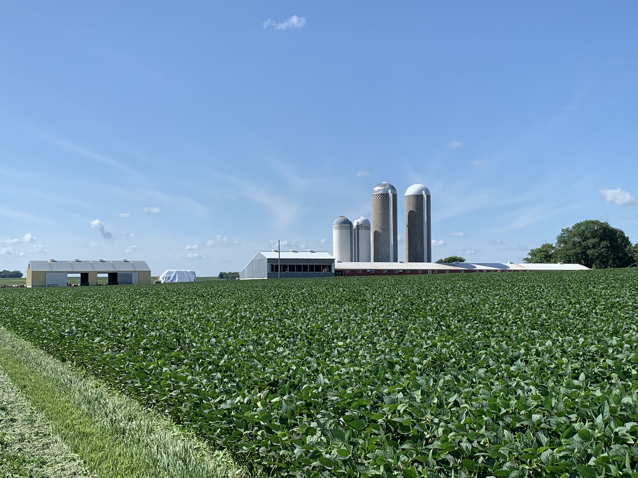 Starter Program with Accomplish LM Key Part of Farmer's Success
