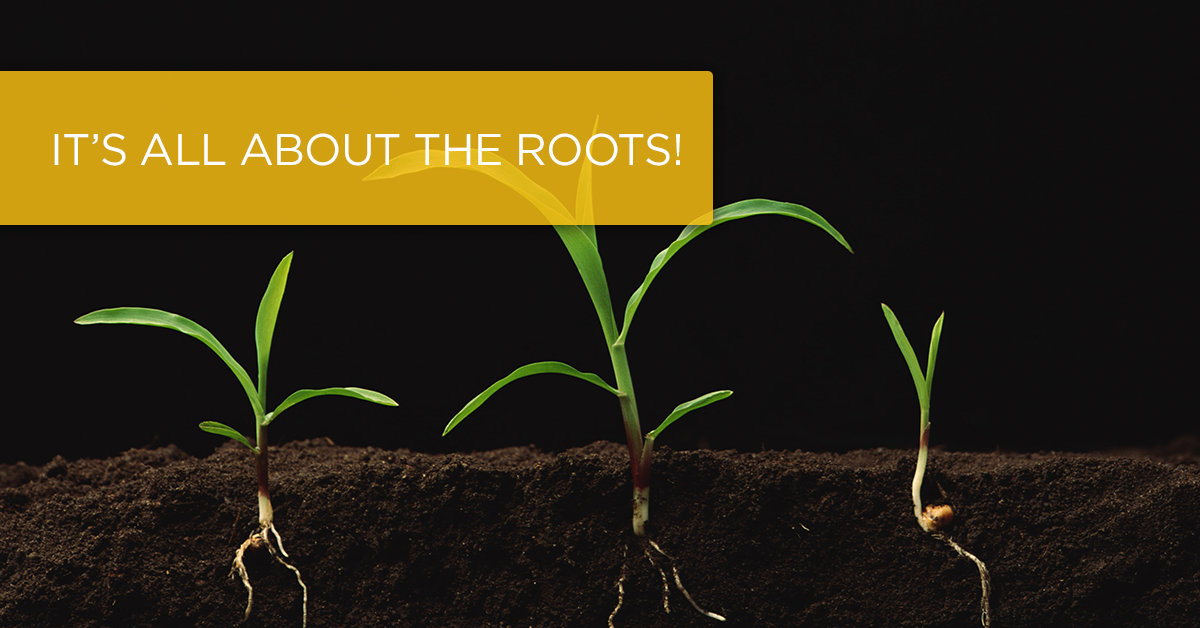 It’s All About the Roots!